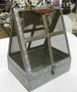 Peltiastia Verkolla Dc-11744