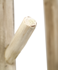 Askeettinen Puinen Naulakko Amcoat 80