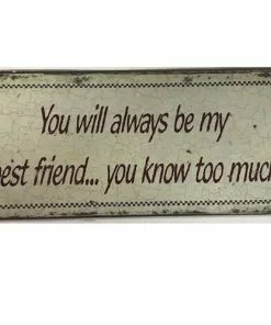 Peltitaulu You Will Always Be Ms-24